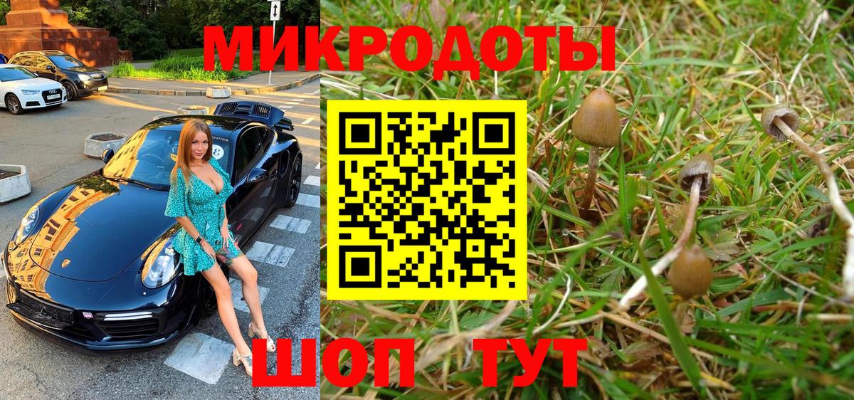 Знаменск  купить   Вход с VPN  Галлюциногенные грибы Psilocybe 